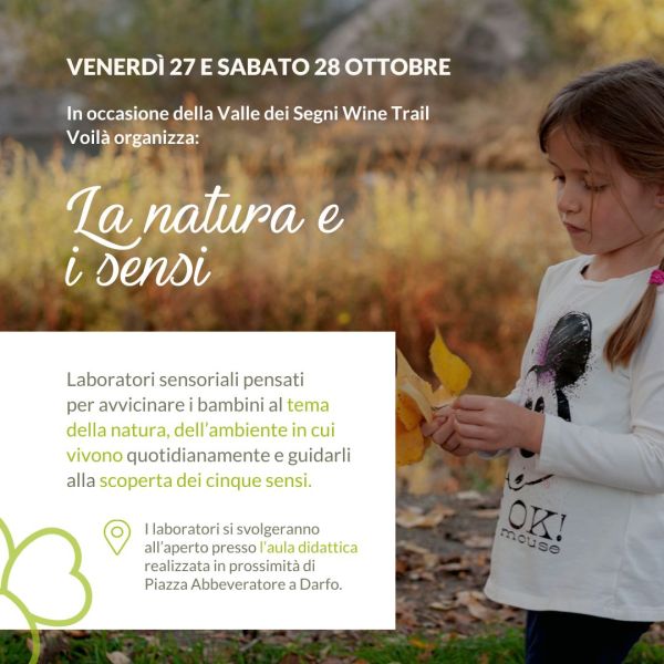 Scopri la Valle Camonica con Voilà, per la Valle dei Segni Wine Trail 2023!